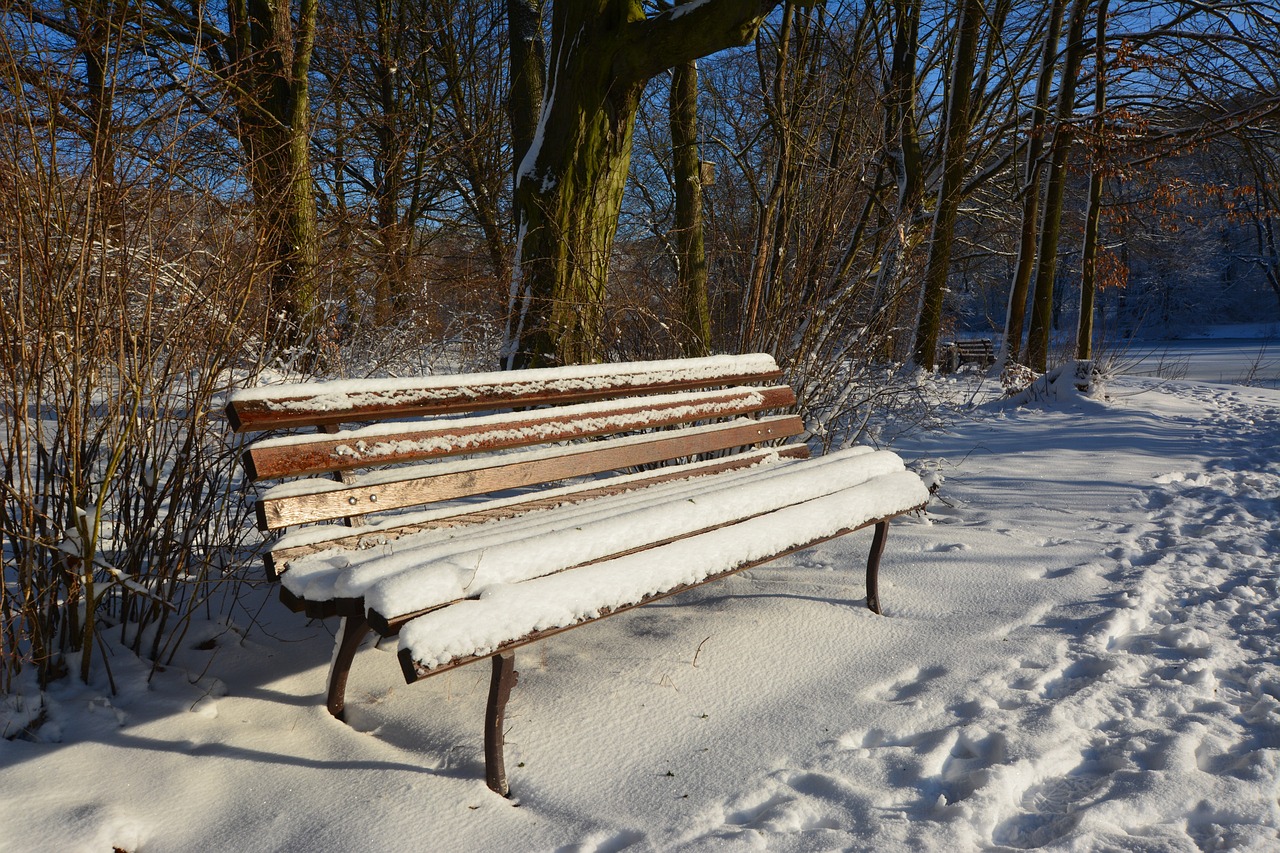 The Benefits of Nature-Based Solutions for Climate Change